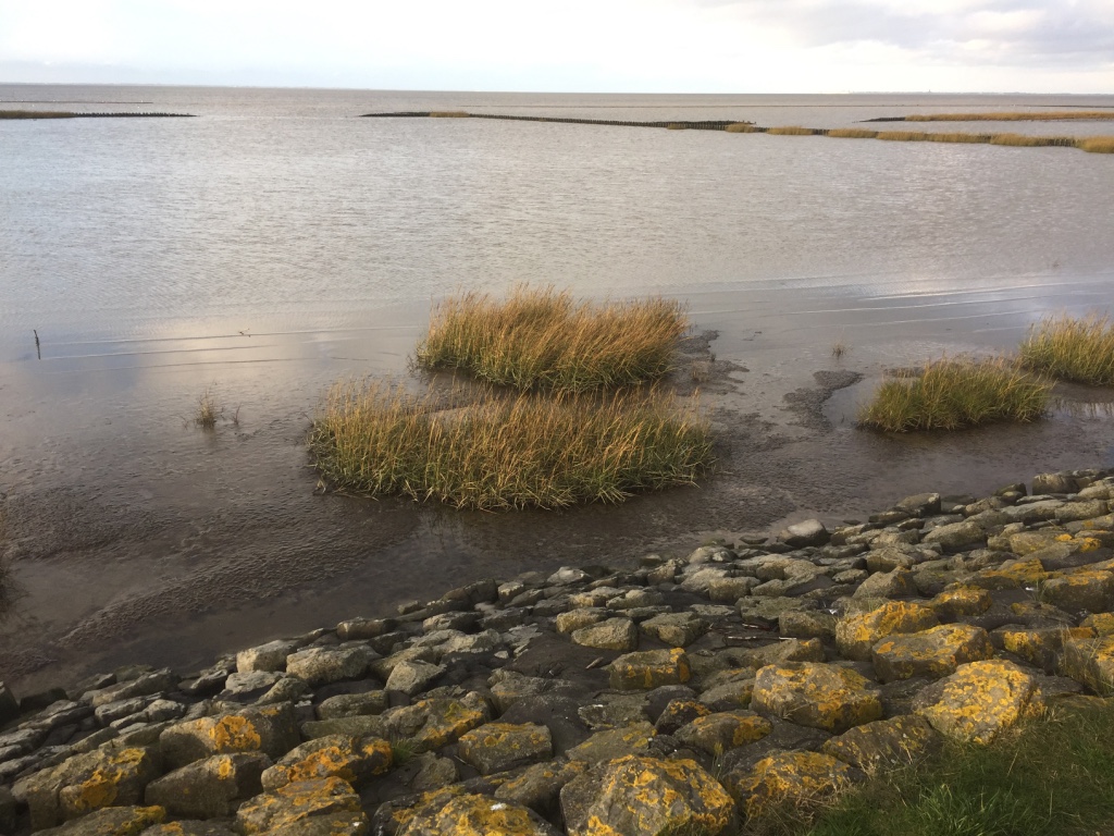 Beschreibung: Macintosh SSD:Users:petra:Desktop:Petra:Website Ortgies-Ferienwohnungen:OrtgiesFerienwohnungen-Dateien:thumb_IMG_3332_1024.jpg